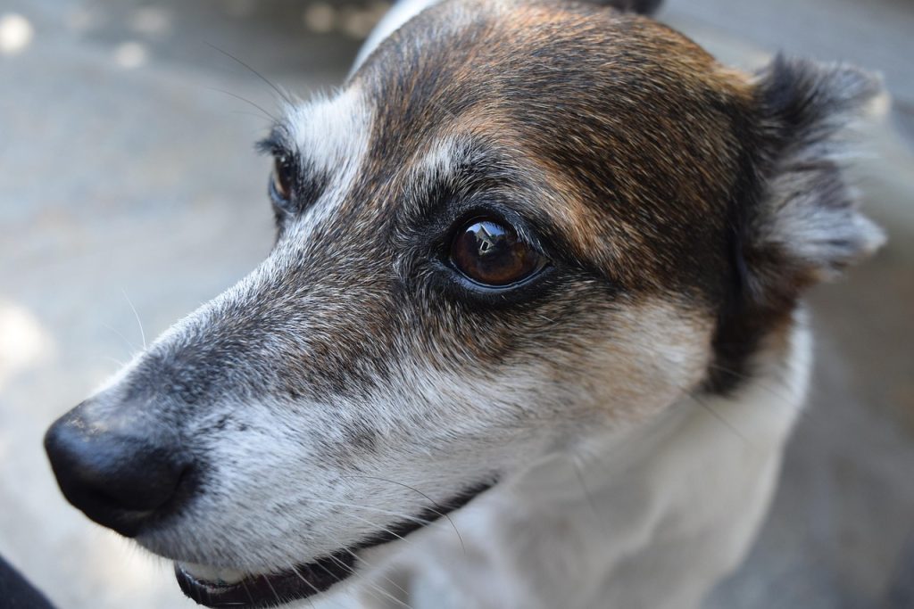 Kampanye Keselamatan Lalu Lintas oleh Polres Wonosobo